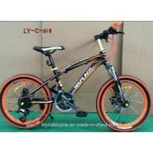 Fashion New Style Adult Fat Bicycle (LY-C-618)